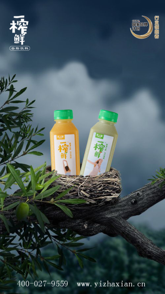 谷物饮料,饮料代理,代理一榨鲜